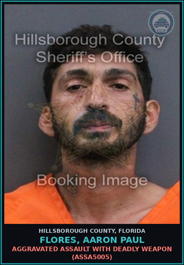 Booking mugshot of FLORES, AARON PAUL in Hillsborough County