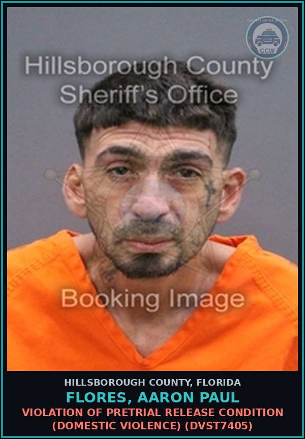 Booking mugshot of FLORES, AARON PAUL in Hillsborough County