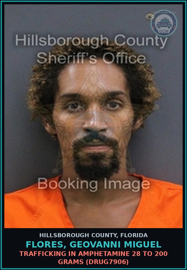 Booking mugshot of FLORES, GEOVANNI MIGUEL in Hillsborough County