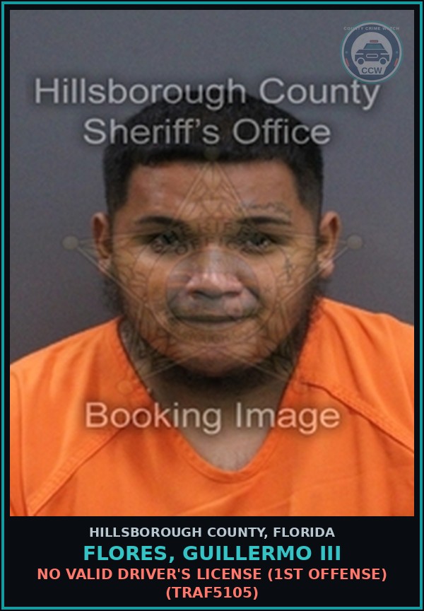 Booking mugshot of FLORES, GUILLERMO III in Hillsborough County