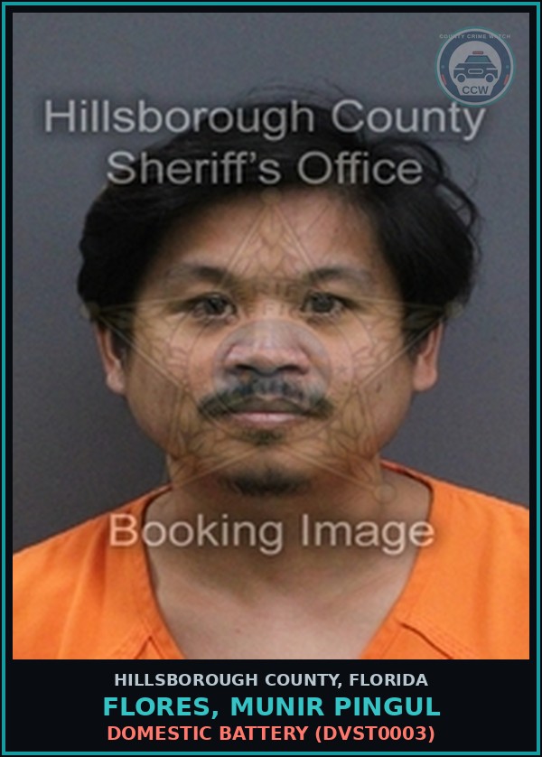 Booking mugshot of FLORES, MUNIR PINGUL in Hillsborough County