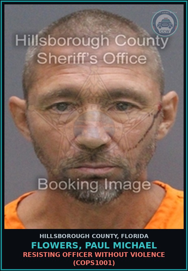 Booking mugshot of FLOWERS, PAUL MICHAEL in Hillsborough County