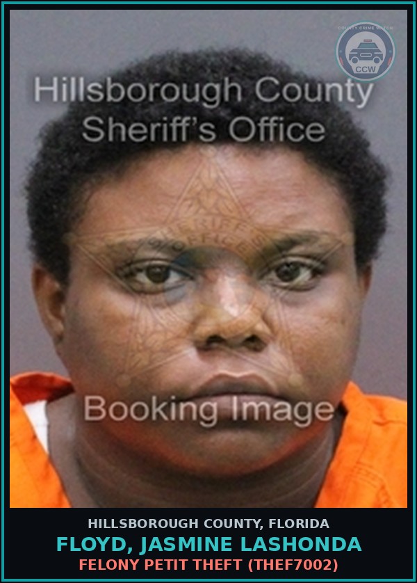 Booking mugshot of FLOYD, JASMINE LASHONDA in Hillsborough County