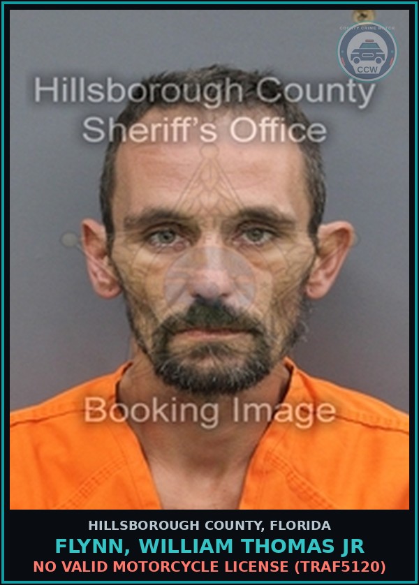 Booking mugshot of FLYNN, WILLIAM THOMAS JR in Hillsborough County