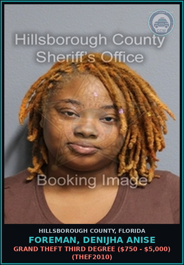 Booking mugshot of FOREMAN, DENIJHA ANISE in Hillsborough County