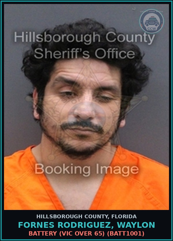 Booking mugshot of FORNES RODRIGUEZ, WAYLON in Hillsborough County