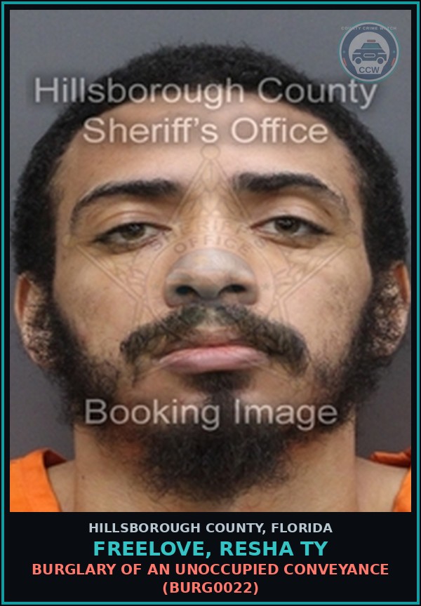 Booking mugshot of FREELOVE, RESHA TY in Hillsborough County