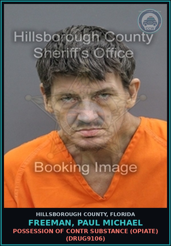 Booking mugshot of FREEMAN, PAUL MICHAEL in Hillsborough County