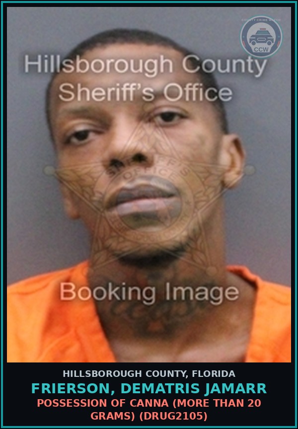 Booking mugshot of FRIERSON, DEMATRIS JAMARR in Hillsborough County