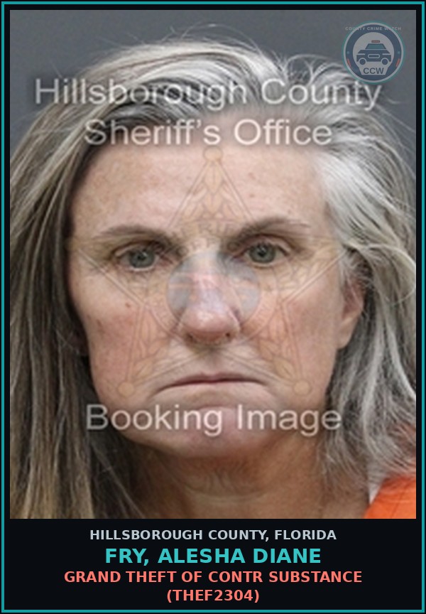 Booking mugshot of FRY, ALESHA DIANE in Hillsborough County