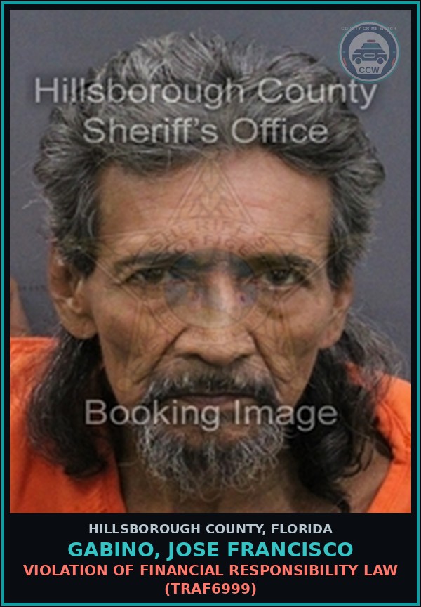 Booking mugshot of GABINO, JOSE FRANCISCO in Hillsborough County