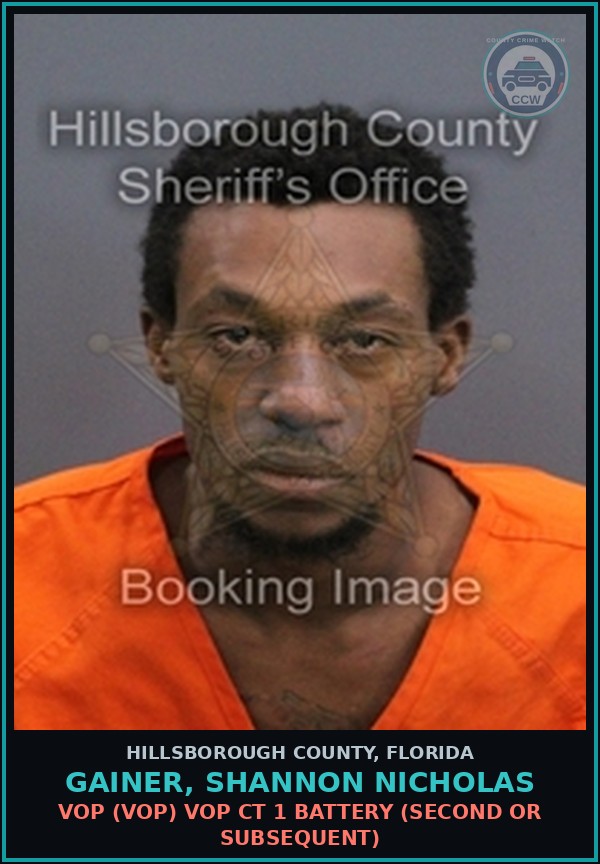Booking mugshot of GAINER, SHANNON NICHOLAS in Hillsborough County