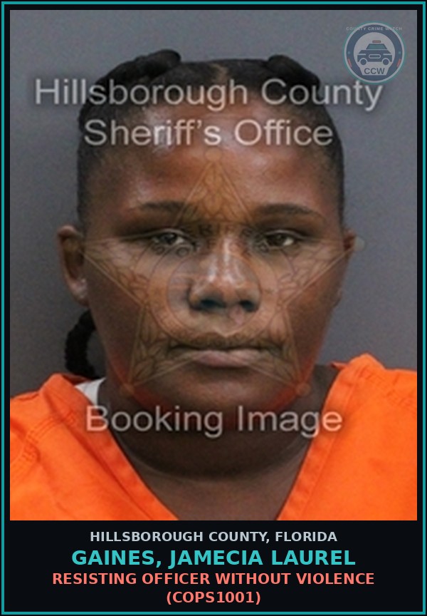 Booking mugshot of GAINES, JAMECIA LAUREL in Hillsborough County