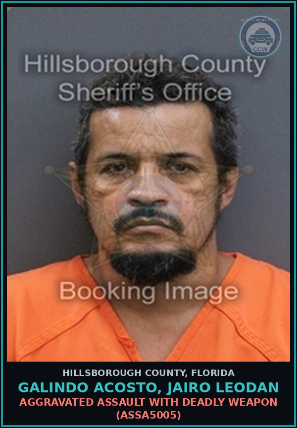 Booking mugshot of GALINDO ACOSTO, JAIRO LEODAN in Hillsborough County