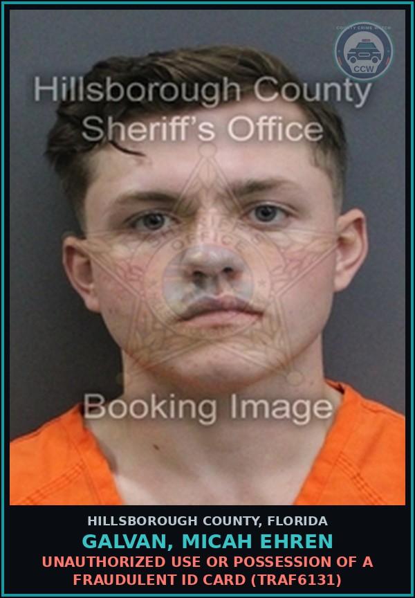 Booking mugshot of GALVAN, MICAH EHREN in Hillsborough County