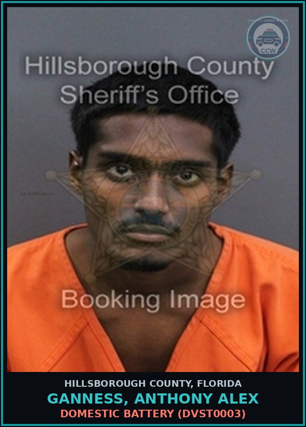 Booking mugshot of GANNESS, ANTHONY ALEX in Hillsborough County