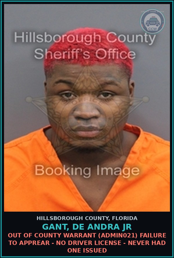 Booking mugshot of GANT, DE ANDRA JR in Hillsborough County