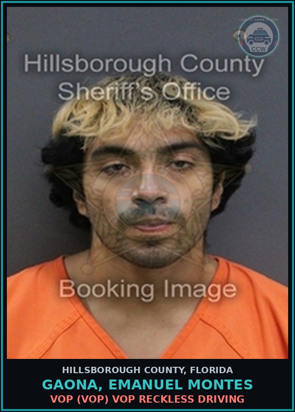 Booking mugshot of GAONA, EMANUEL MONTES in Hillsborough County