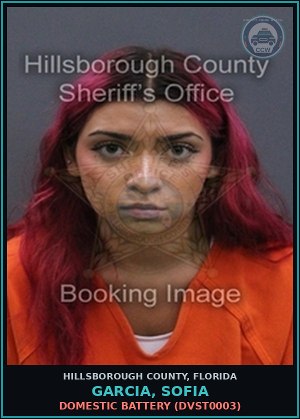 Booking mugshot of GARCIA, SOFIA in Hillsborough County