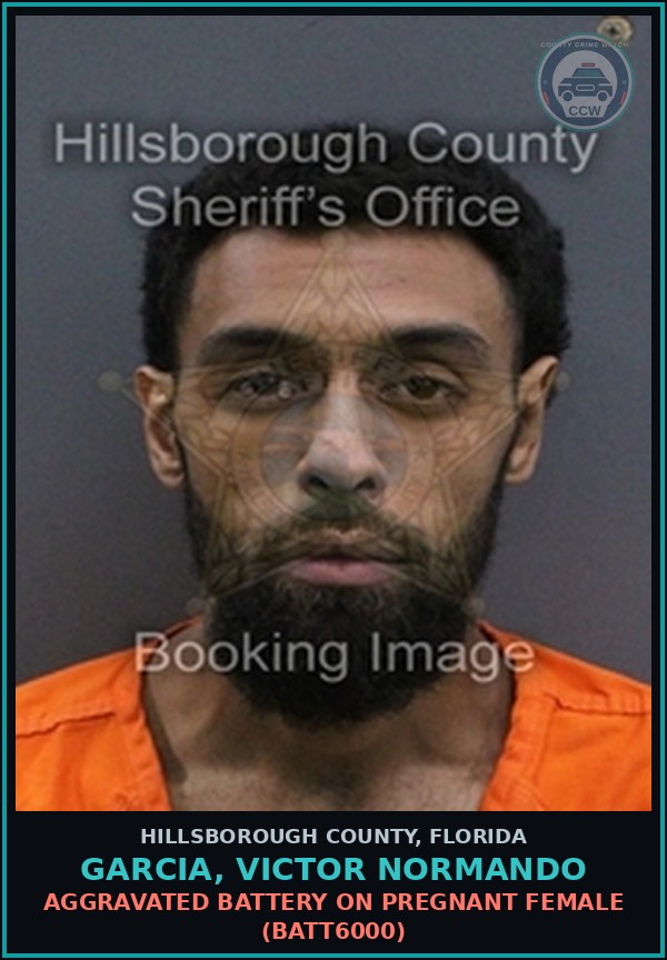 Booking mugshot of GARCIA, VICTOR NORMANDO in Hillsborough County