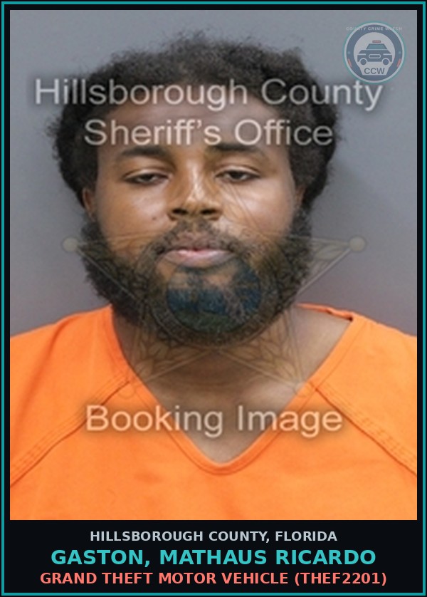 Booking mugshot of GASTON, MATHAUS RICARDO in Hillsborough County
