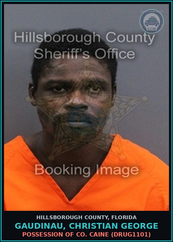 Booking mugshot of GAUDINAU, CHRISTIAN GEORGE in Hillsborough County