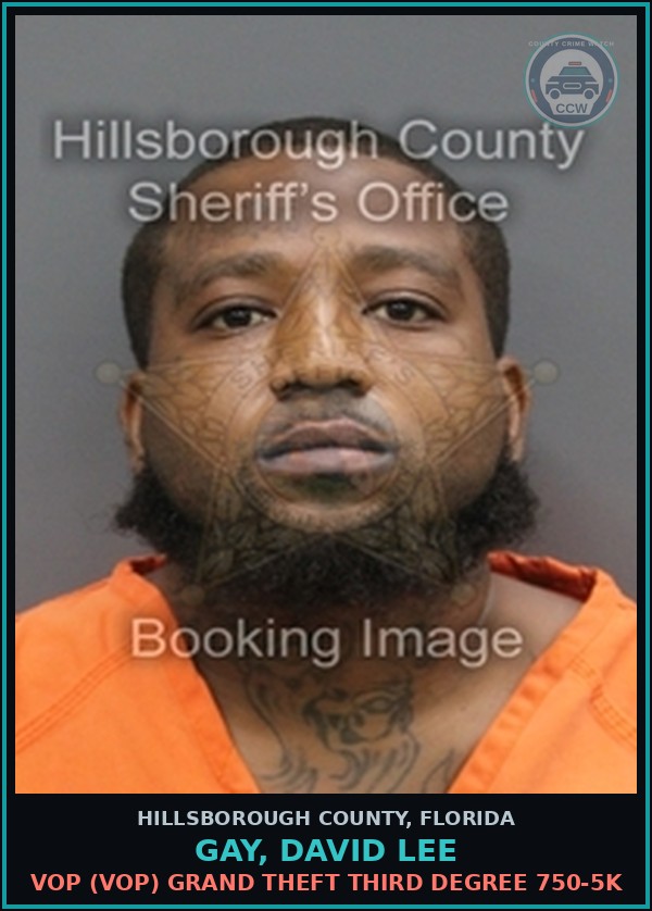 Booking mugshot of GAY, DAVID LEE in Hillsborough County