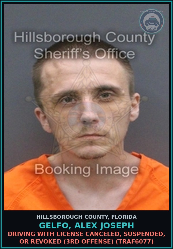 Booking mugshot of GELFO, ALEX JOSEPH in Hillsborough County