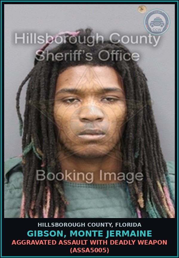 Booking mugshot of GIBSON, MONTE JERMAINE in Hillsborough County