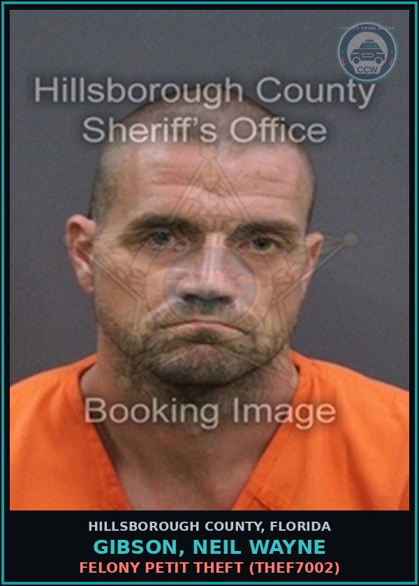 Booking mugshot of GIBSON, NEIL WAYNE in Hillsborough County