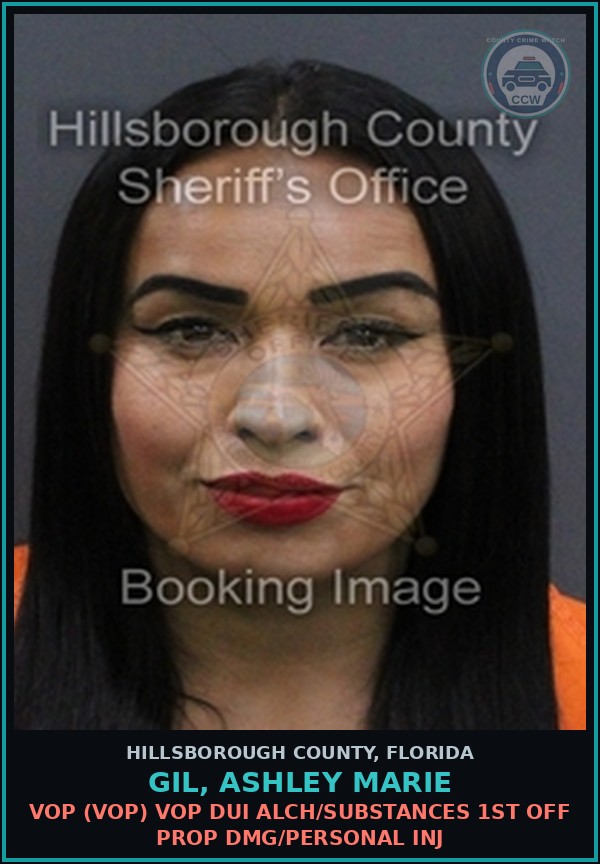 Booking mugshot of GIL, ASHLEY MARIE in Hillsborough County