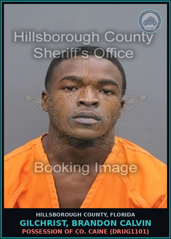 Booking mugshot of GILCHRIST, BRANDON CALVIN in Hillsborough County