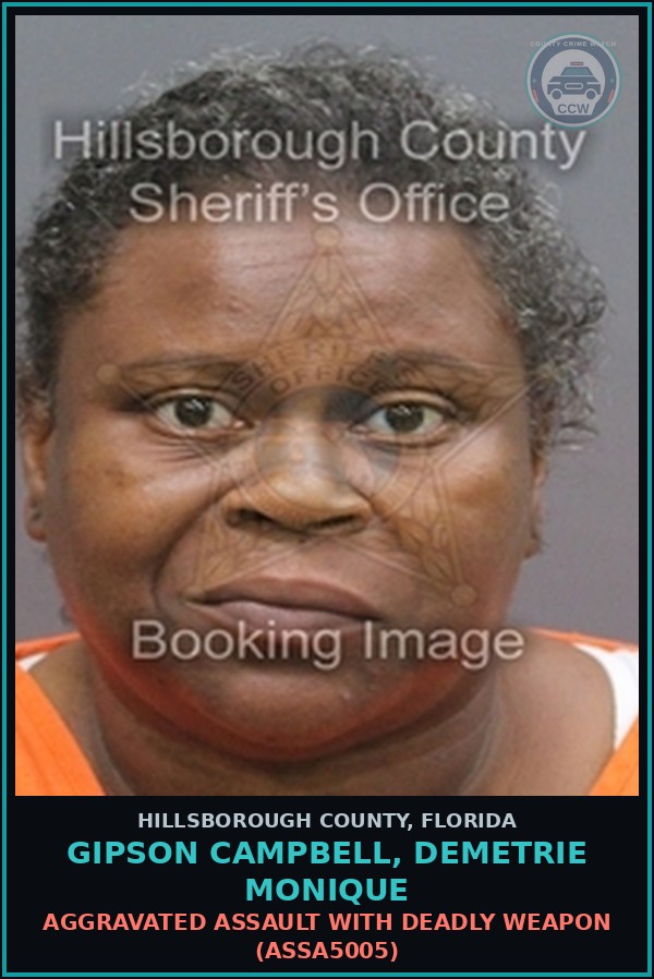 Booking mugshot of GIPSON CAMPBELL, DEMETRIE MONIQUE in Hillsborough County