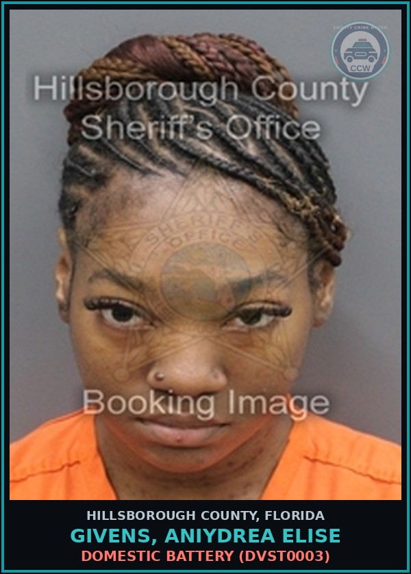 Booking mugshot of GIVENS, ANIYDREA ELISE in Hillsborough County