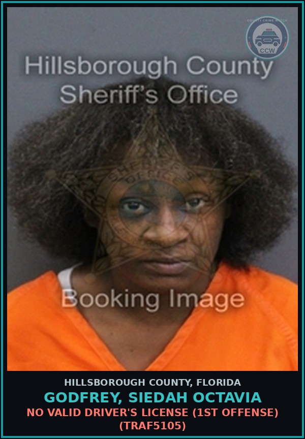 Booking mugshot of GODFREY, SIEDAH OCTAVIA in Hillsborough County
