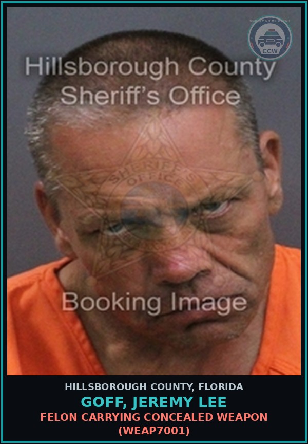 Booking mugshot of GOFF, JEREMY LEE in Hillsborough County