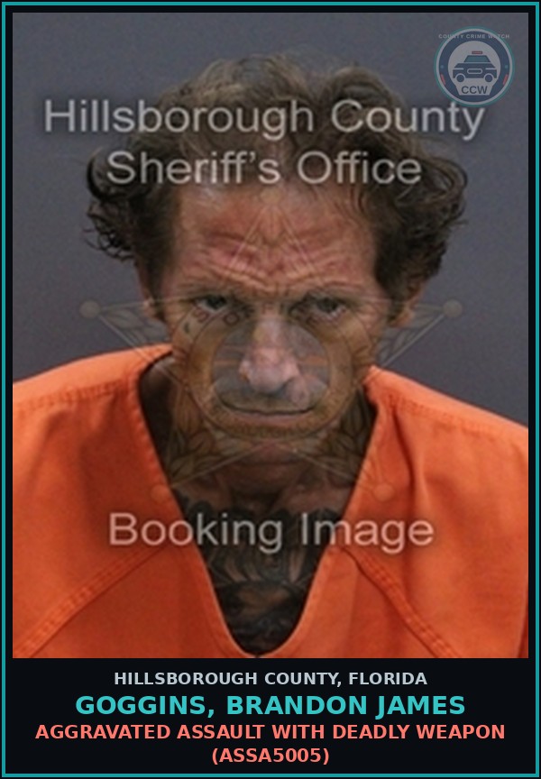 Booking mugshot of GOGGINS, BRANDON JAMES in Hillsborough County