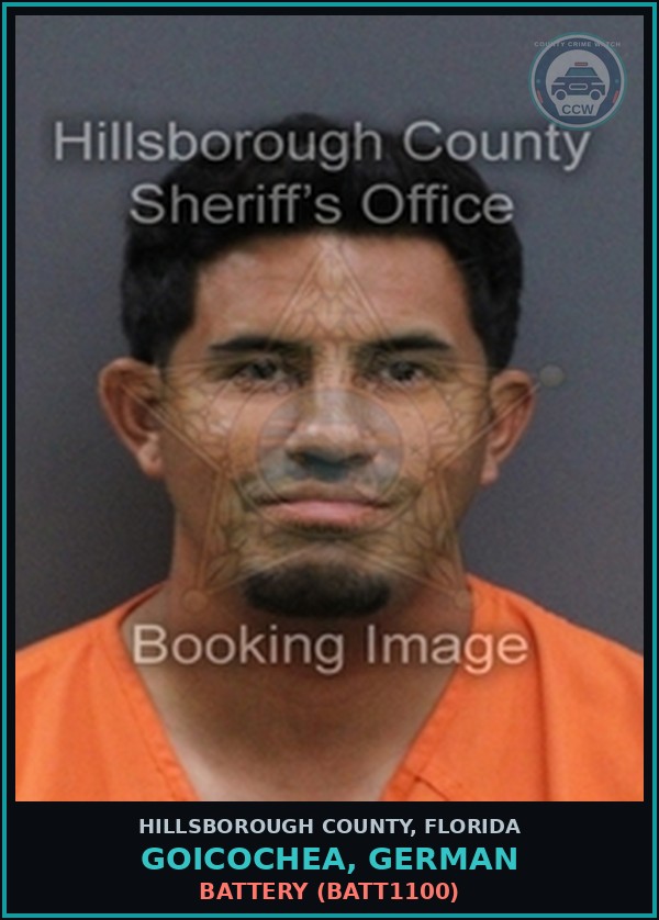 Booking mugshot of GOICOCHEA, GERMAN in Hillsborough County