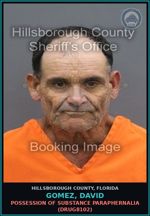 Booking mugshot of GOMEZ, DAVID in Hillsborough County