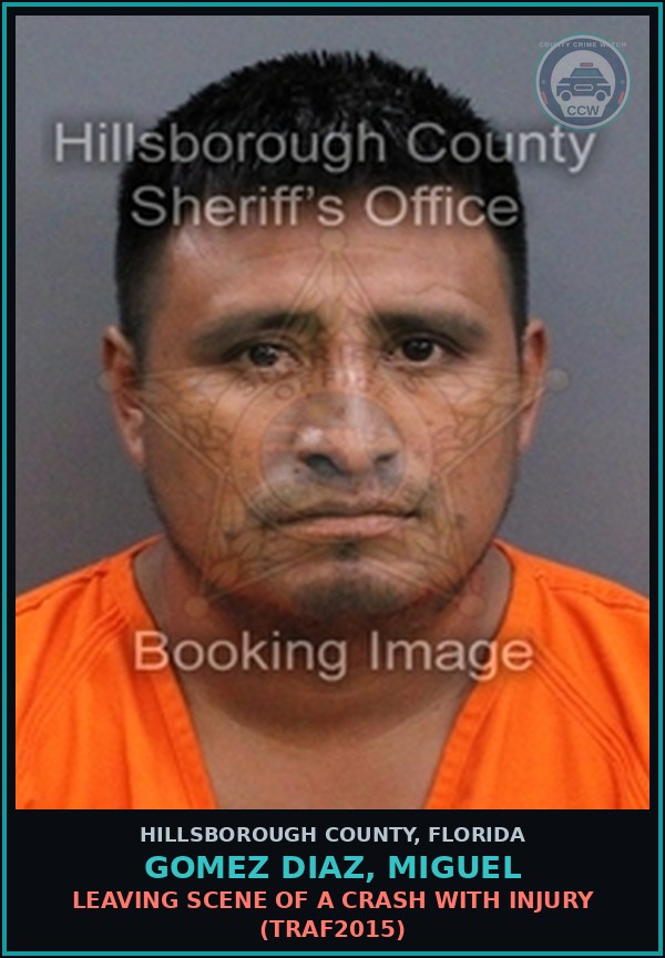 Booking mugshot of GOMEZ DIAZ, MIGUEL in Hillsborough County