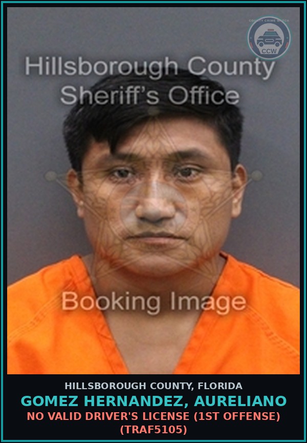 Booking mugshot of GOMEZ HERNANDEZ, AURELIANO in Hillsborough County