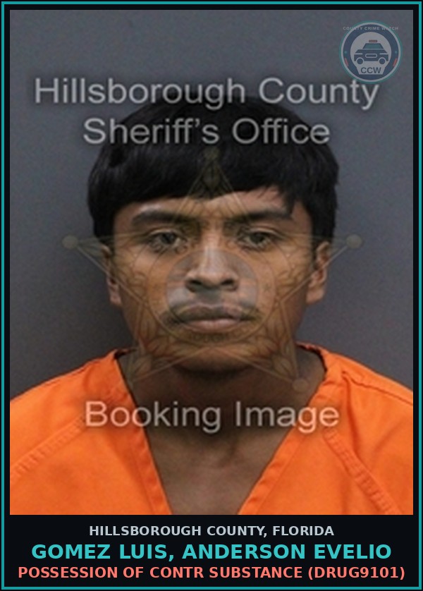 Booking mugshot of GOMEZ LUIS, ANDERSON EVELIO in Hillsborough County