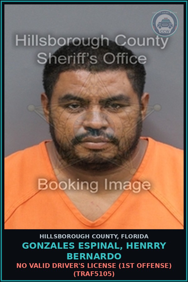 Booking mugshot of GONZALES ESPINAL, HENRRY BERNARDO in Hillsborough County