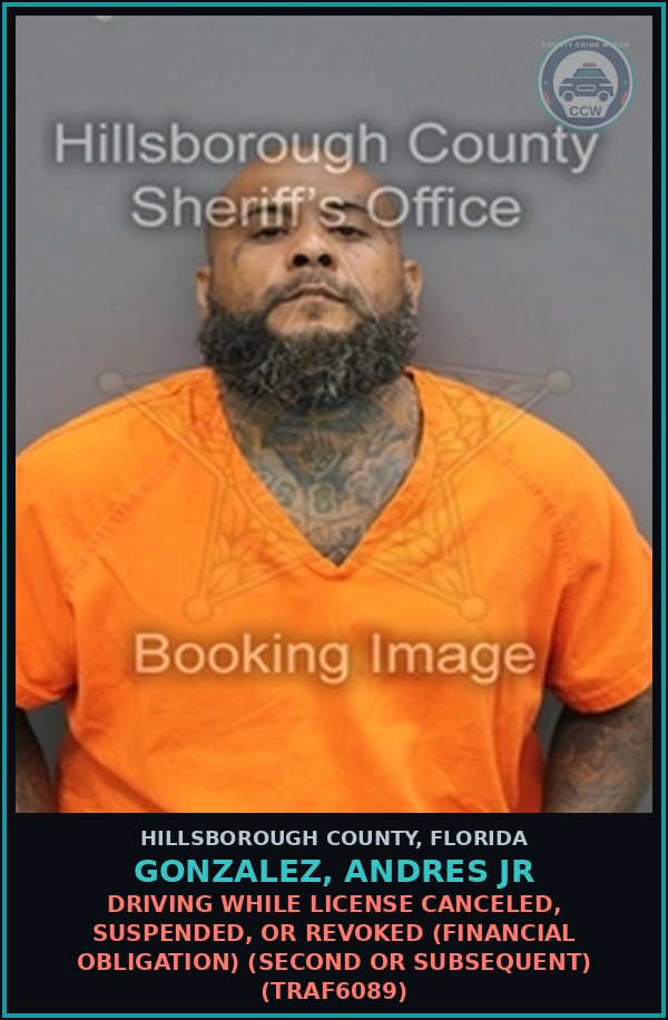 Booking mugshot of GONZALEZ, ANDRES JR in Hillsborough County