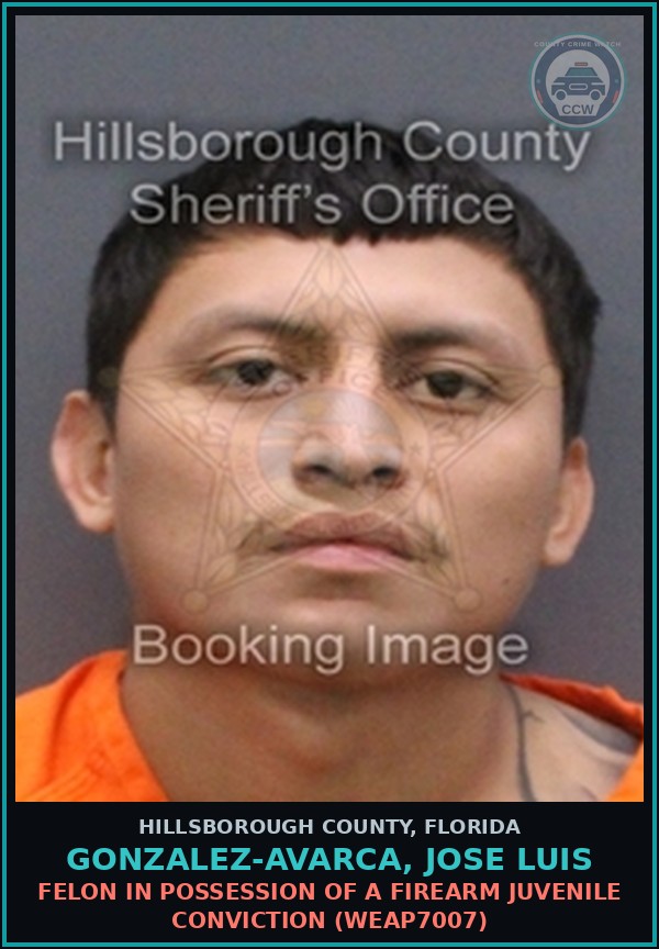 Booking mugshot of GONZALEZ-AVARCA, JOSE LUIS in Hillsborough County