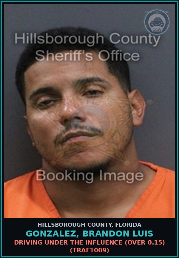 Booking mugshot of GONZALEZ, BRANDON LUIS in Hillsborough County