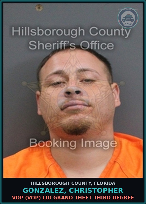 Booking mugshot of GONZALEZ, CHRISTOPHER in Hillsborough County