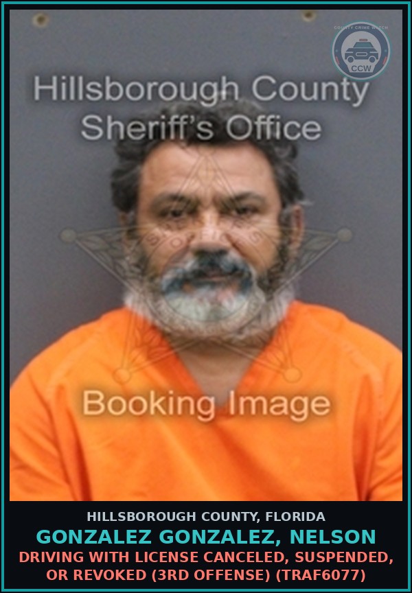 Booking mugshot of GONZALEZ GONZALEZ, NELSON in Hillsborough County