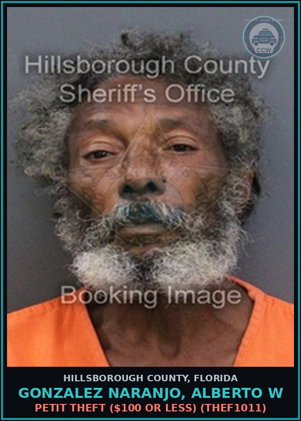 Booking mugshot of GONZALEZ NARANJO, ALBERTO W in Hillsborough County