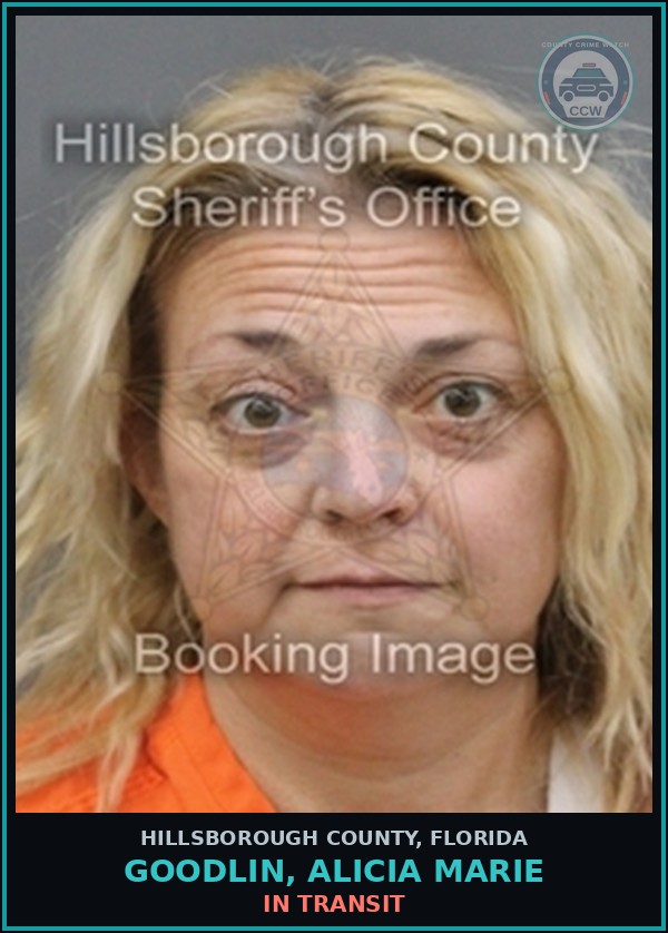 Booking mugshot of GOODLIN, ALICIA MARIE in Hillsborough County